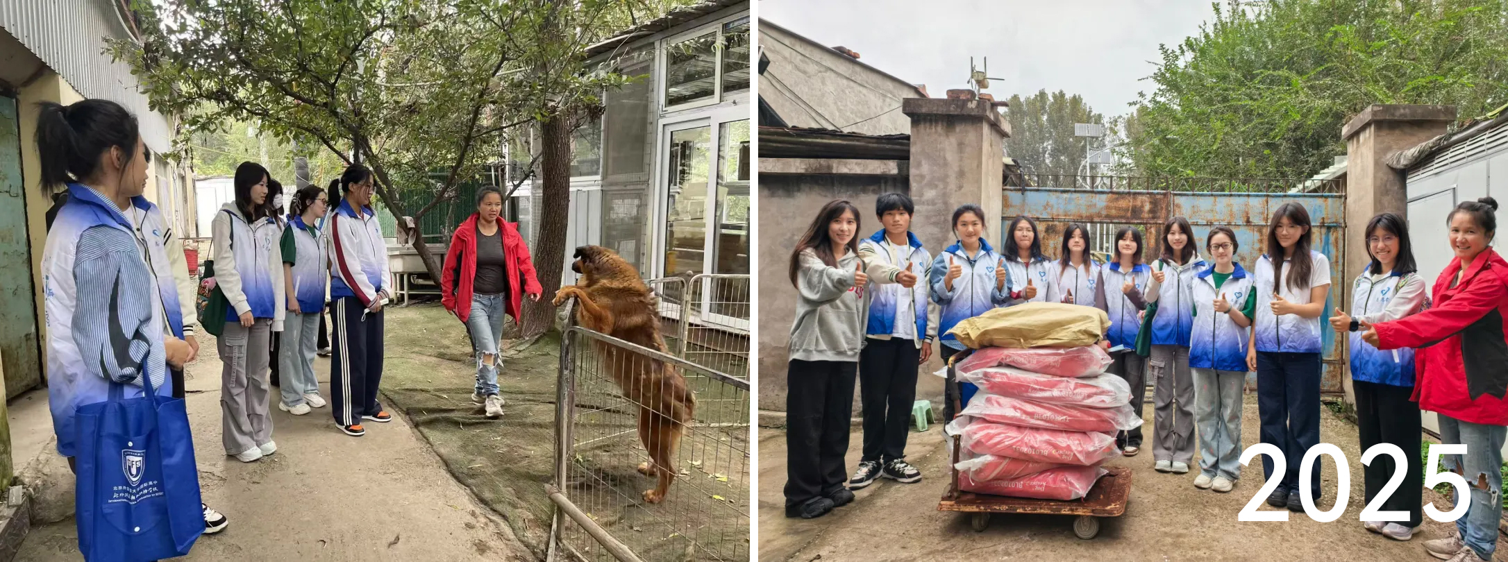 1761205591925254.jpg 1761205591925254.jpg