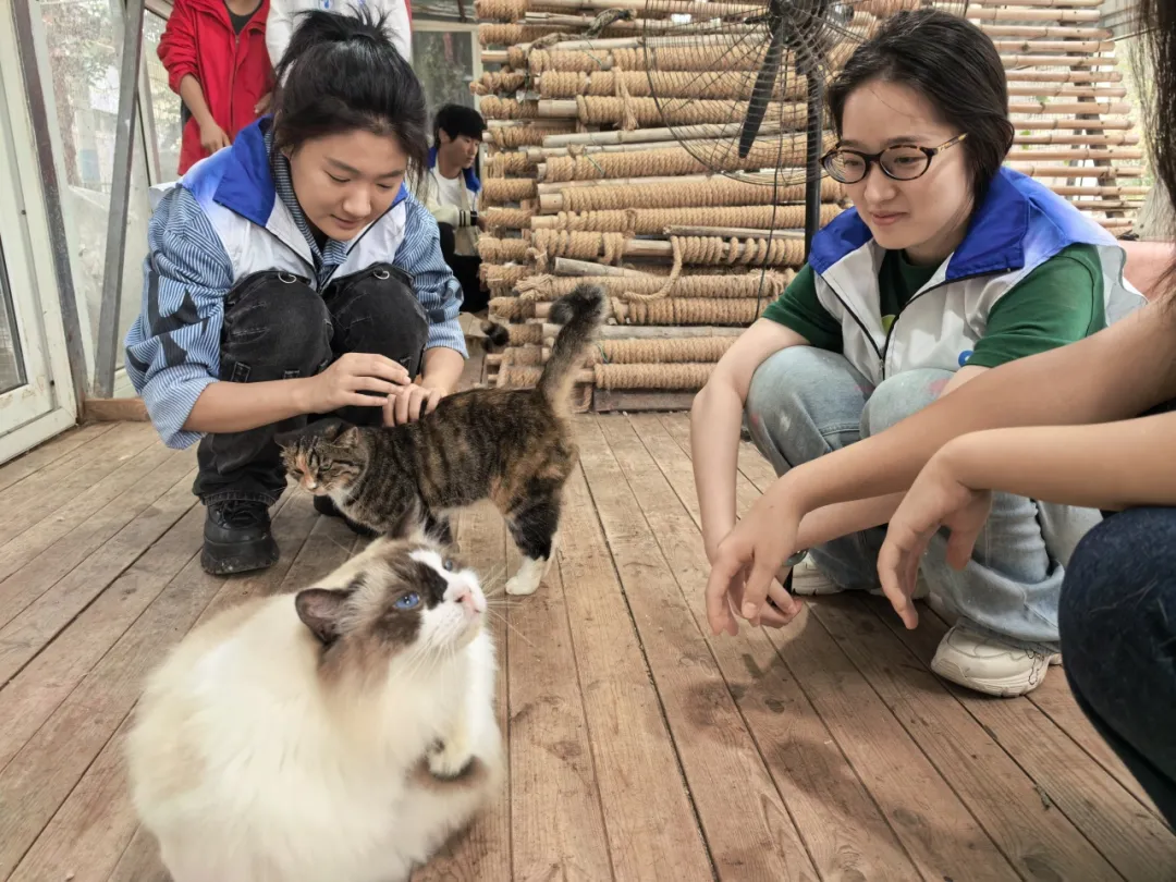 1761207379171489.png 1761207379171489.png