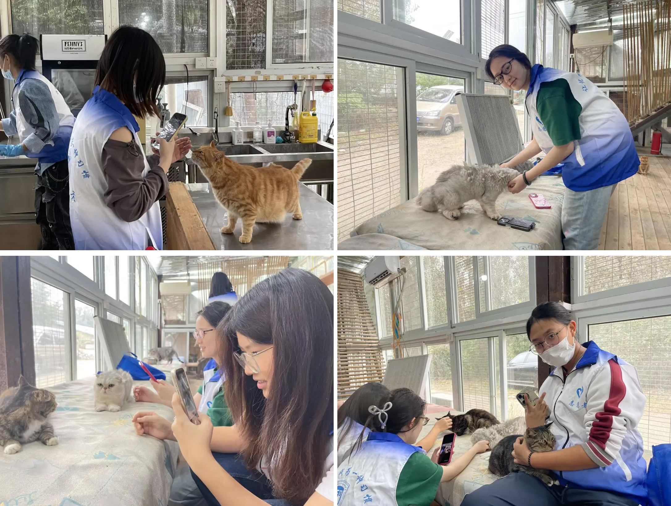 1761207874922094.jpg 1761207874922094.jpg