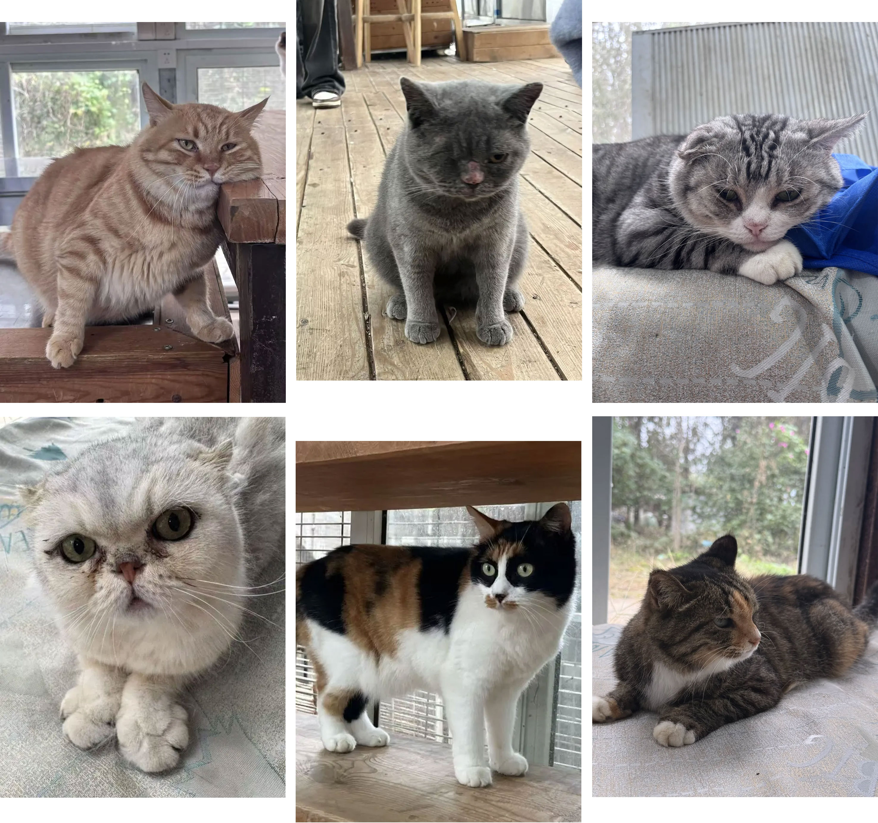 1761212692525981.jpg 1761212692525981.jpg