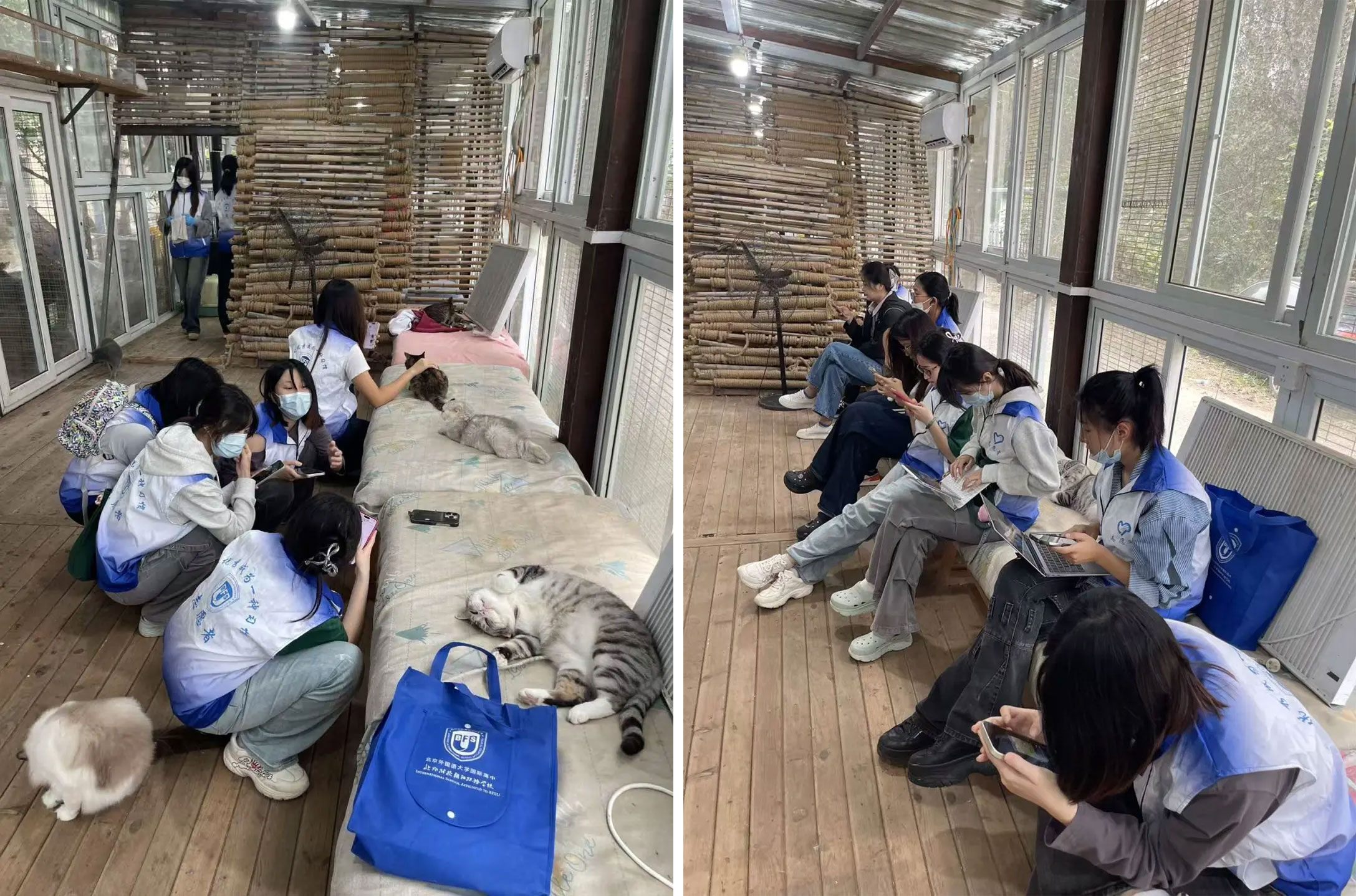 1761213241837949.jpg 1761213241837949.jpg