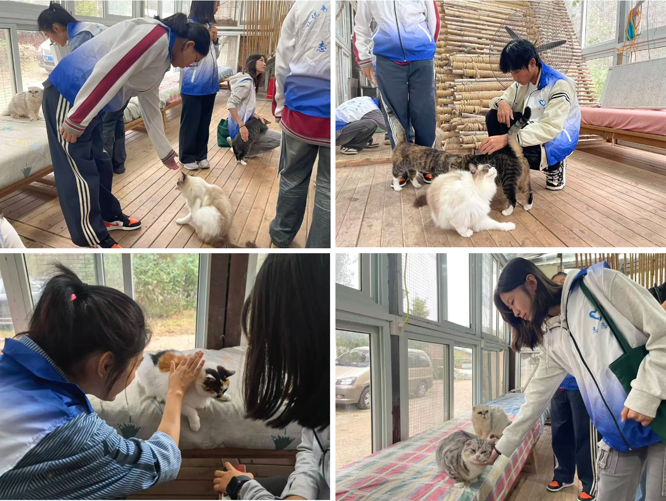 1761270288520256.jpg 1761270288520256.jpg