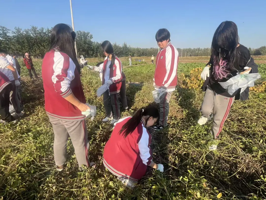 1761897462568953.png 1761897462568953.png