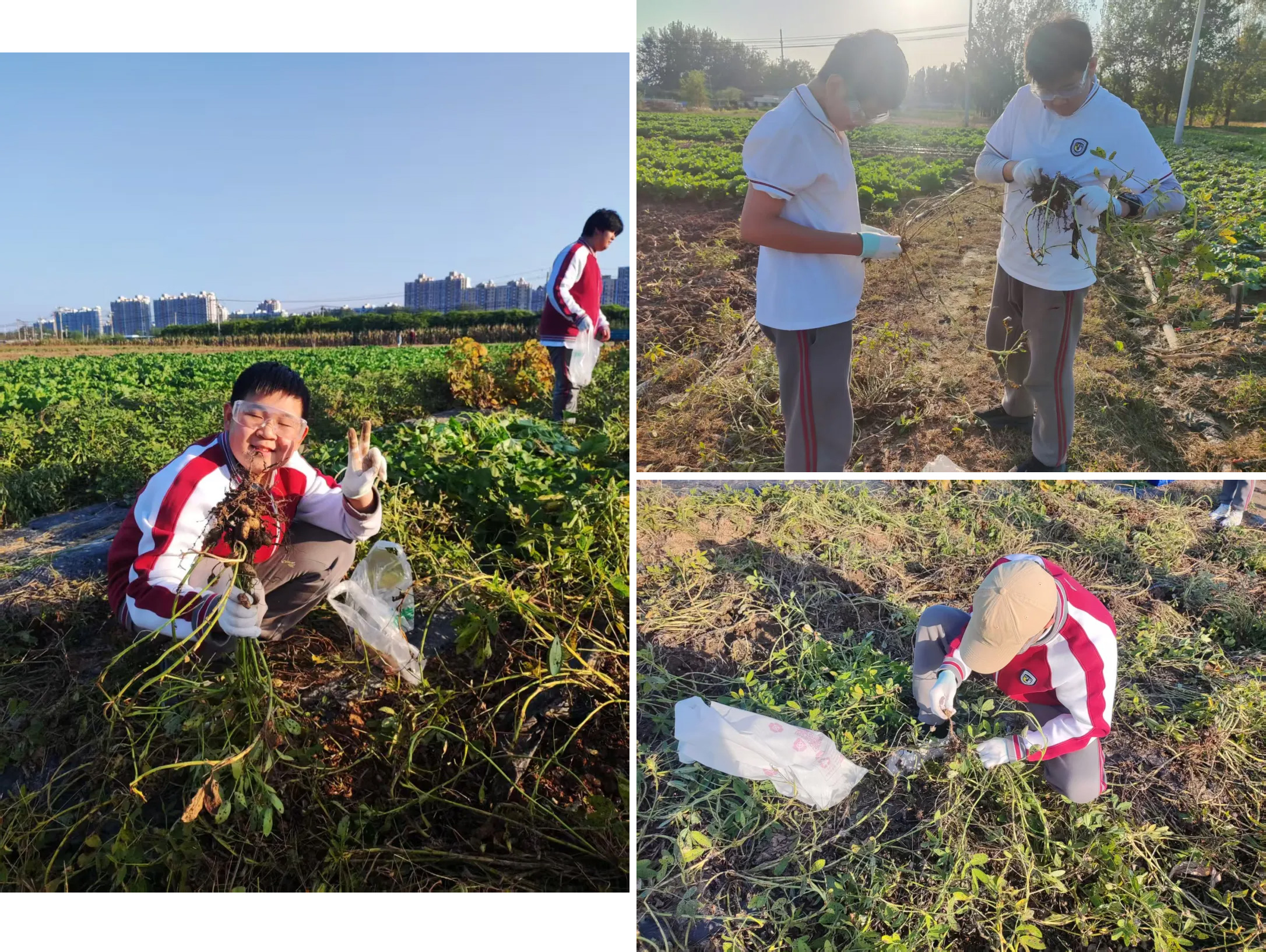 1761897687444726.jpg 1761897687444726.jpg