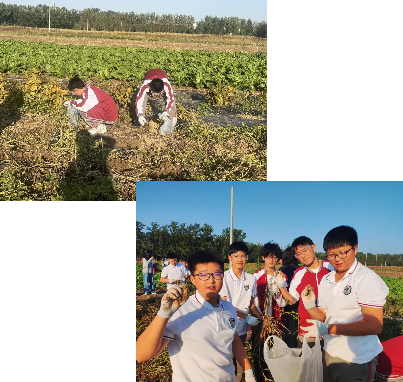 1761897848926022.jpg 1761897848926022.jpg