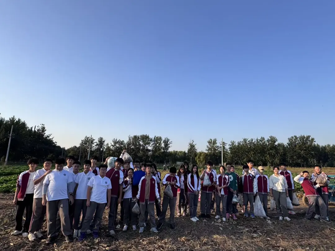 1761898431455725.png 1761898431455725.png