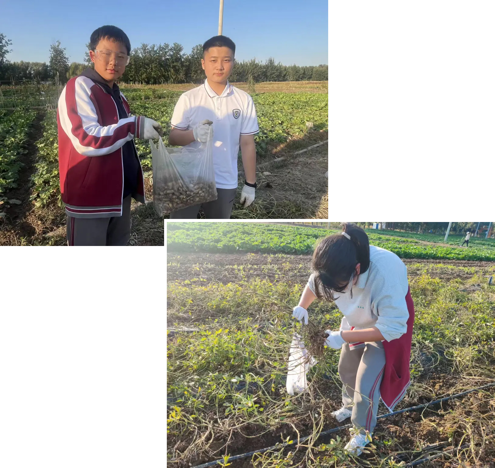 1761898454410889.jpg 1761898454410889.jpg