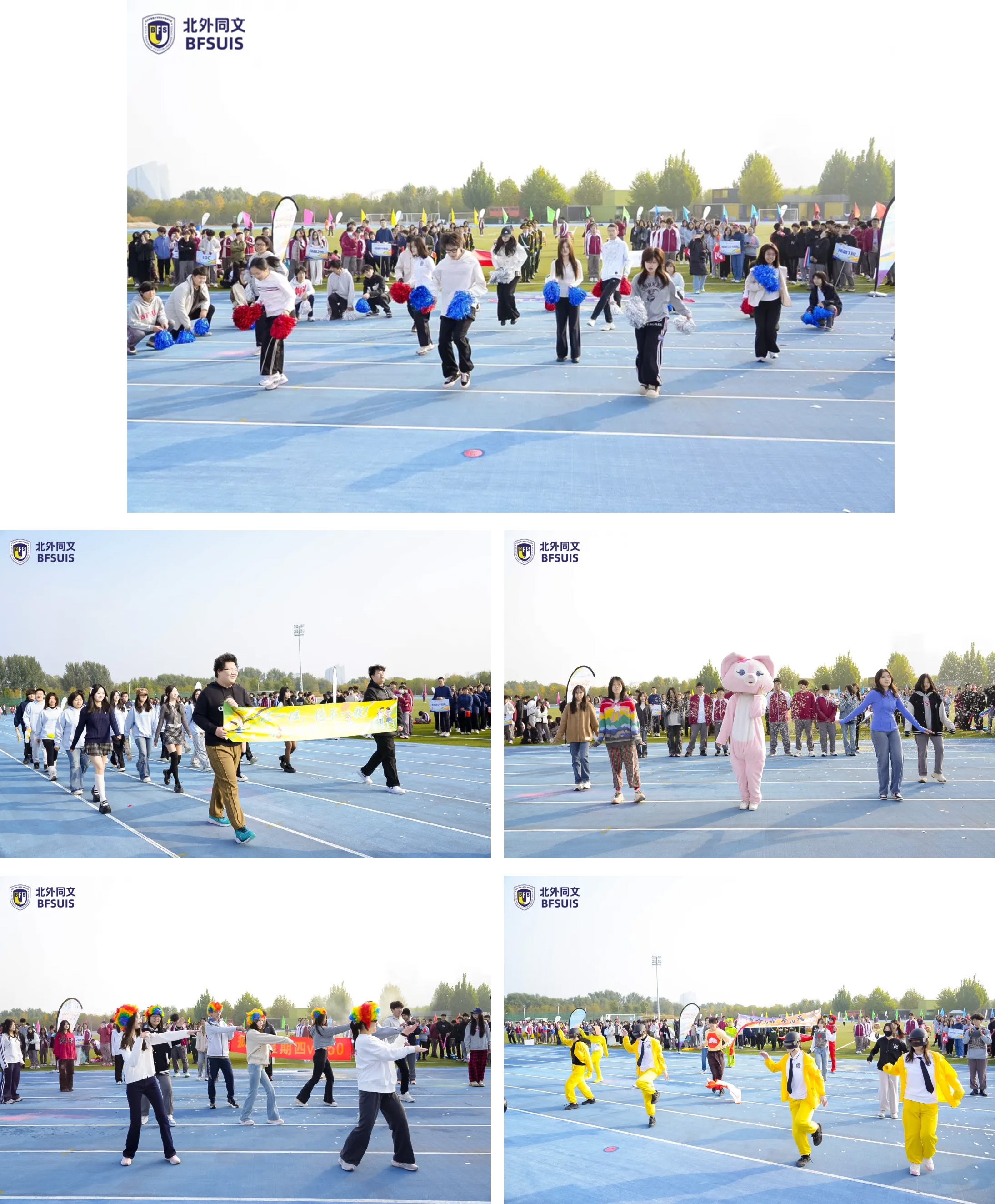 1762252011497529.jpg 1762252011497529.jpg