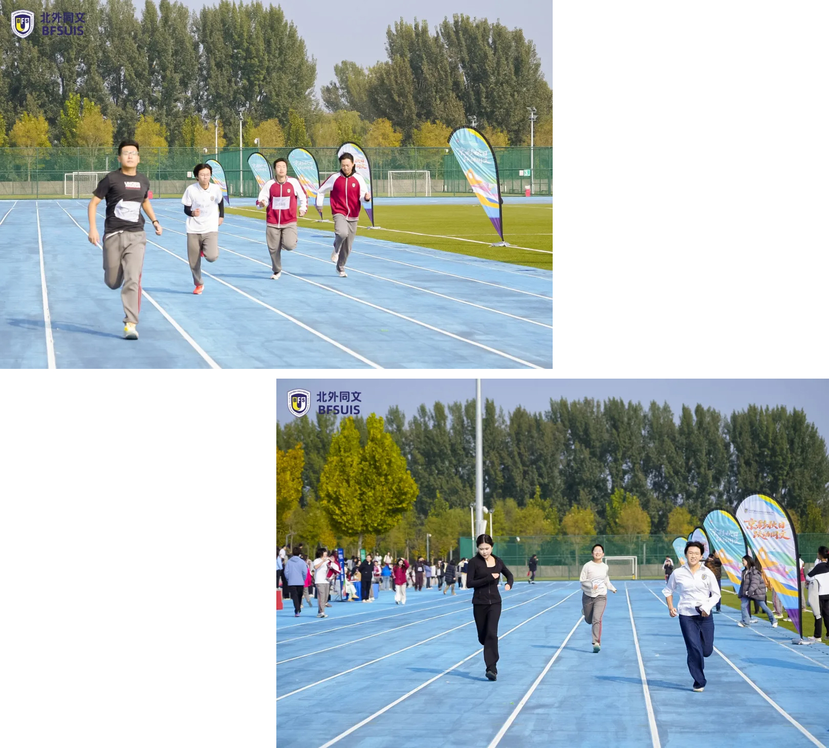 1762335825380284.jpg 1762335825380284.jpg