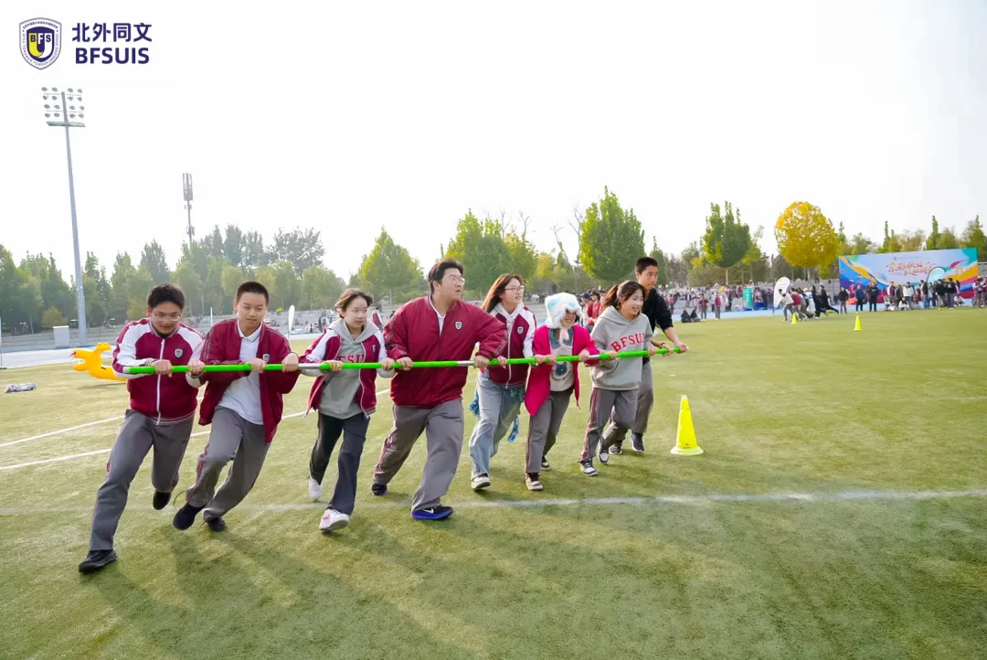 1762336388660392.png 1762336388660392.png