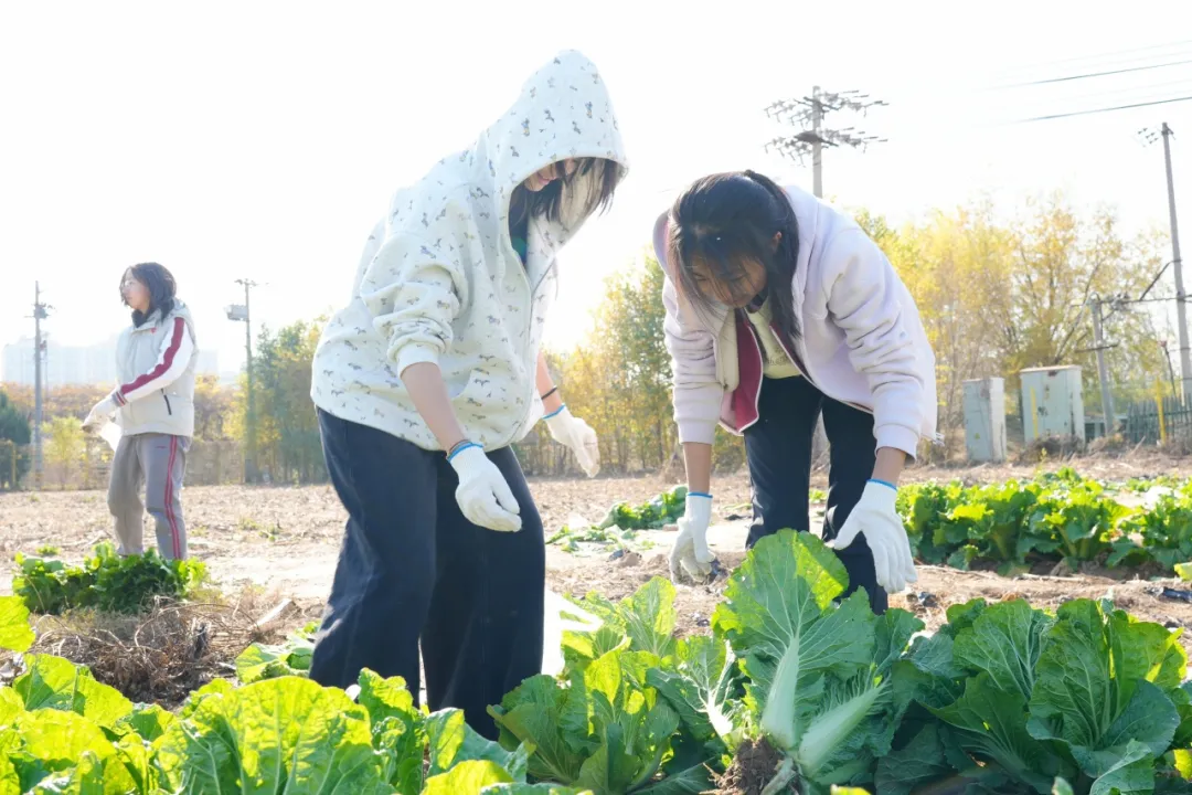 1765418982907863.png 1765418982907863.png