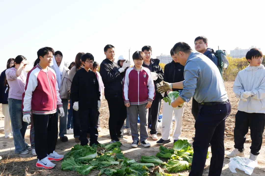 1765419035988843.png 1765419035988843.png