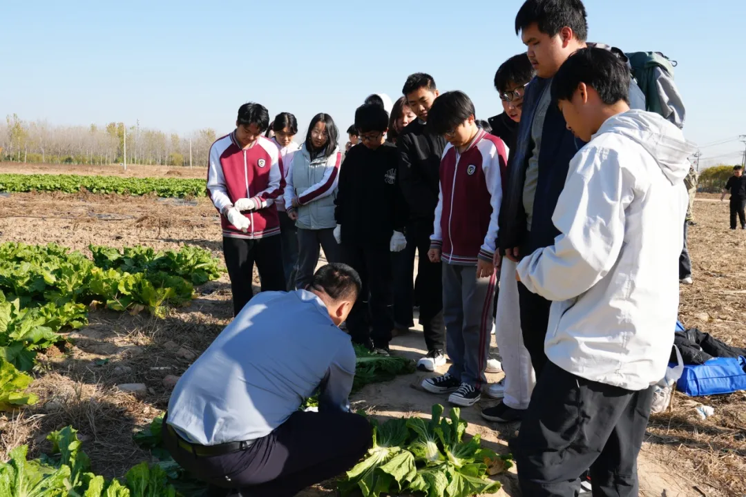 1765419052571785.png 1765419052571785.png