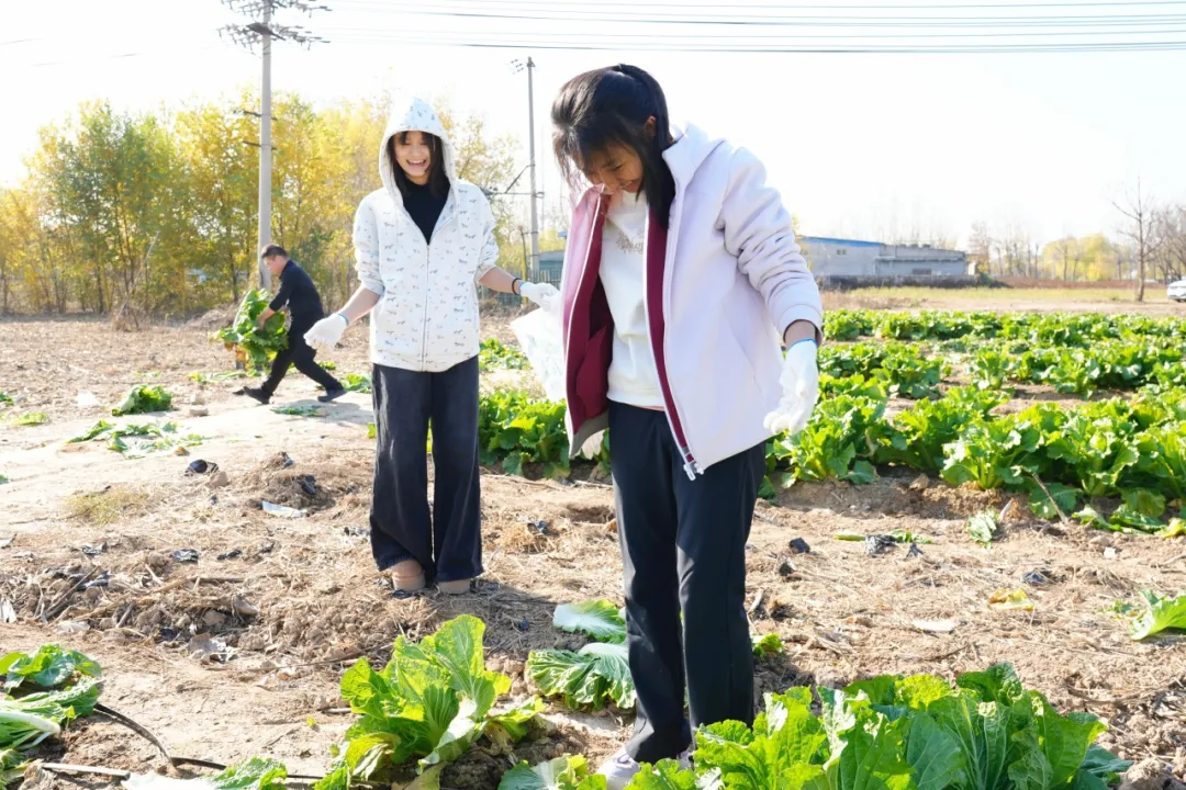 1765419139687635.png 1765419139687635.png