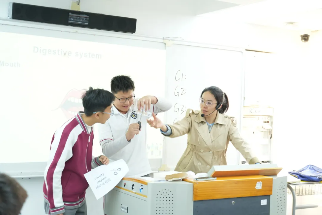 1765509127820476.png 1765509127820476.png